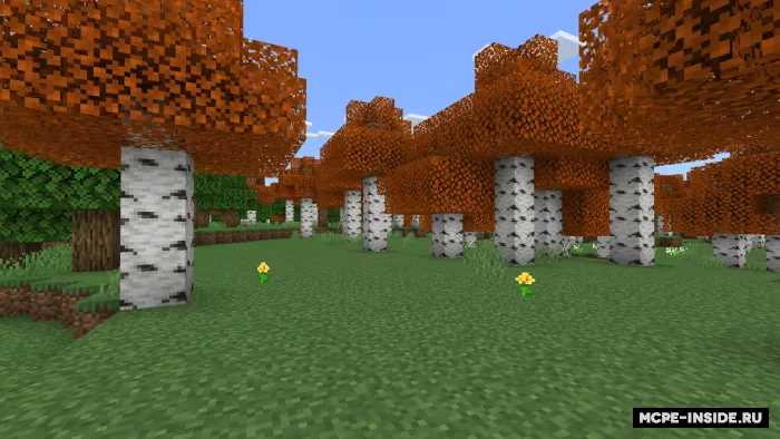 Kuzgi qayinlar — Minecraft tekstura, rasm 1