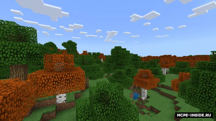 Kuzgi qayinlar — Minecraft tekstura, rasm 3