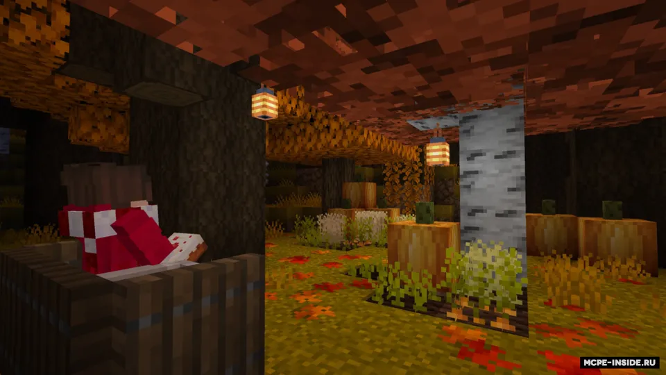 Kuzgi paket — Minecraft tekstura, rasm 1