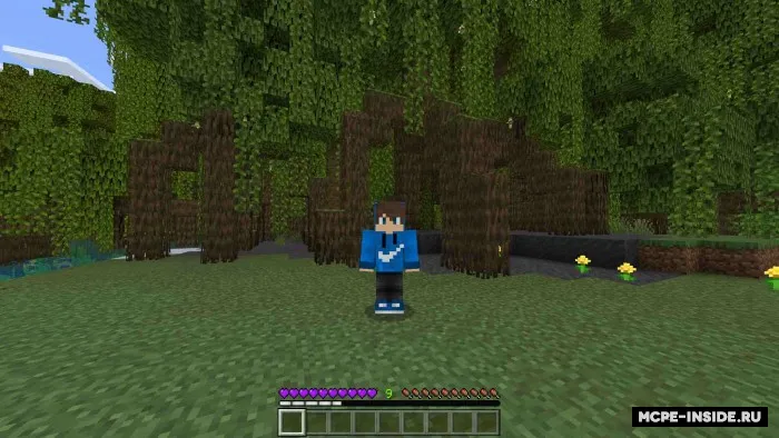 Binafsha rangli interfeys — Minecraft tekstura, rasm 4