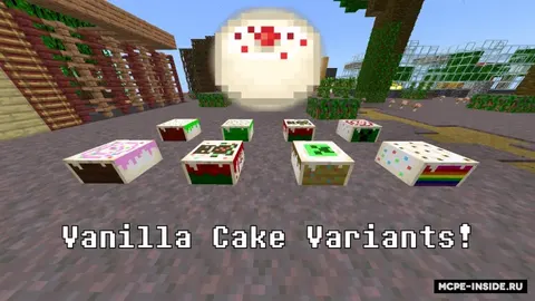 Tort variantlari