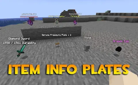 Item Info Plates