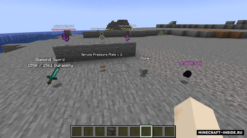 Item Info Plates — Minecraft mod, rasm 2