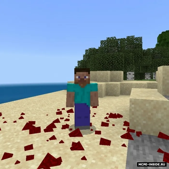 Nodirlik rangi — Minecraft tekstura, rasm 1