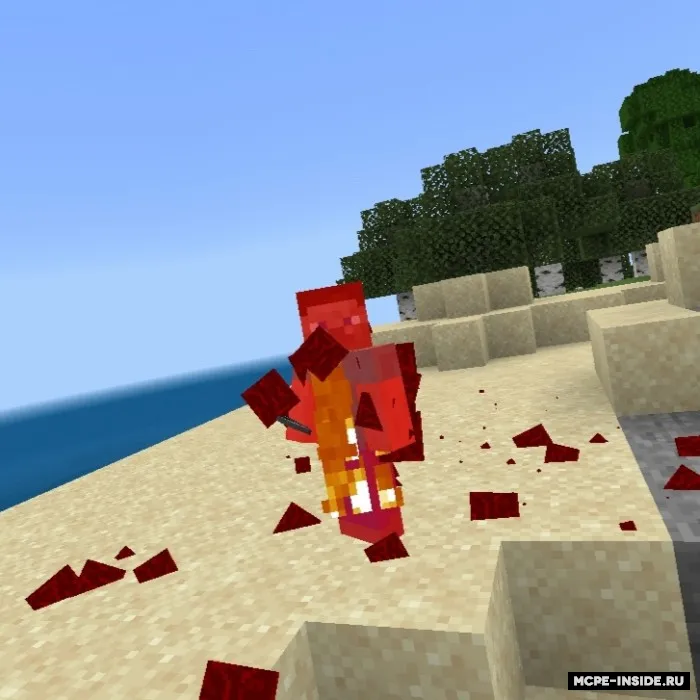 Nodirlik rangi — Minecraft tekstura, rasm 2