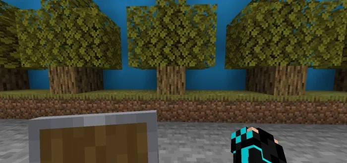 Kichraytirilgan qalqon o'lchami — Minecraft tekstura, rasm 2