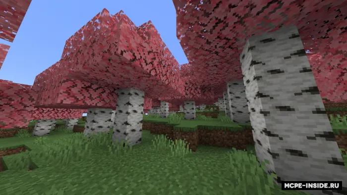 Olcha barglari — Minecraft tekstura, rasm 1