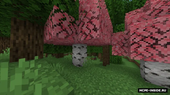 Olcha barglari — Minecraft tekstura, rasm 2
