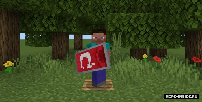 Maxsus qalqonlar — Minecraft tekstura, rasm 1