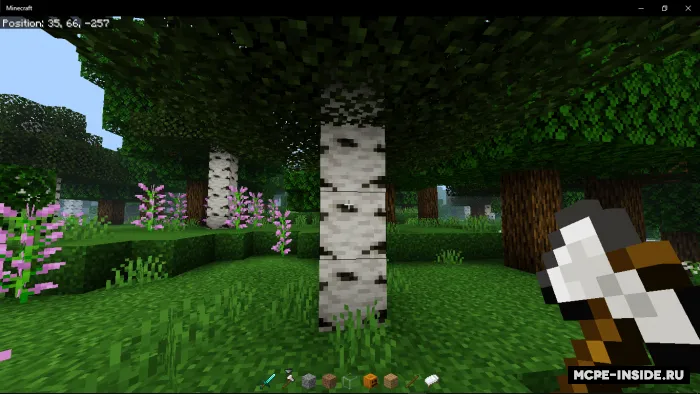 Toza hotbar — Minecraft tekstura, rasm 3