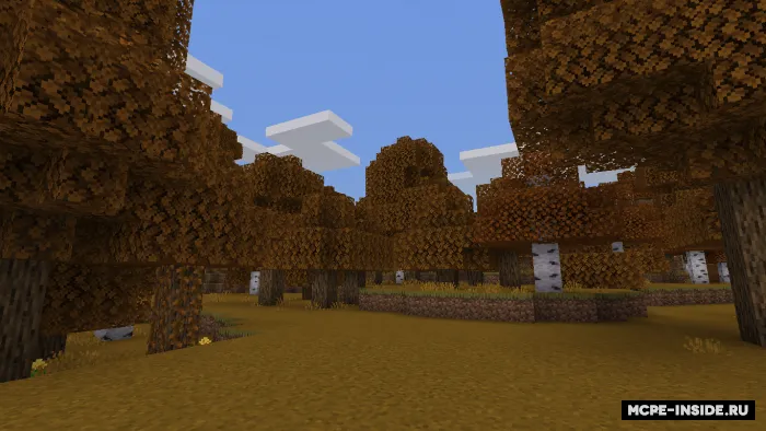 Kuzgi ranglar — Minecraft tekstura, rasm 1