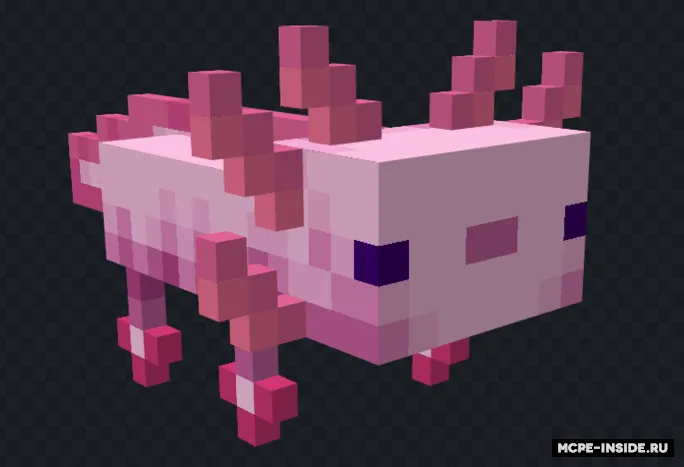 Aksolotl qayiqlari — Minecraft tekstura, rasm 2