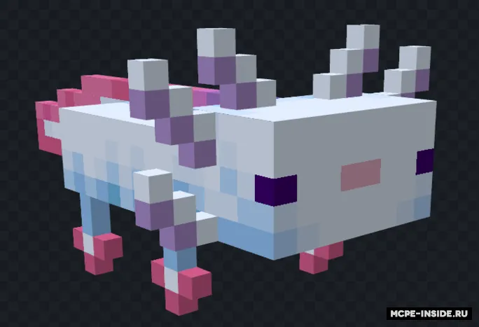 Aksolotl qayiqlari — Minecraft tekstura, rasm 3