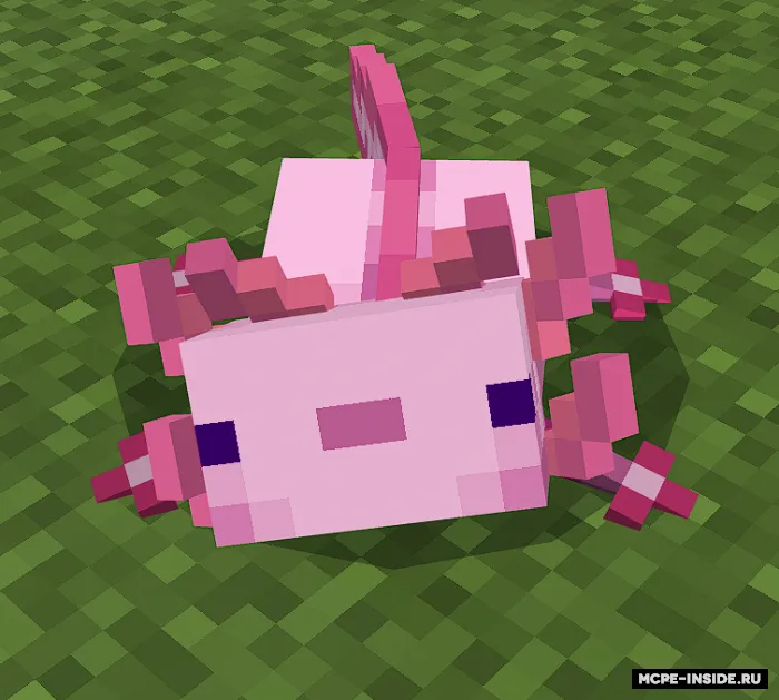 Yaxshilangan aksolotllar — Minecraft tekstura, rasm 2