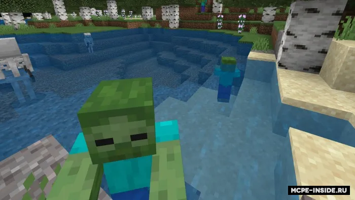 Tungi ko'rish — Minecraft tekstura, rasm 2