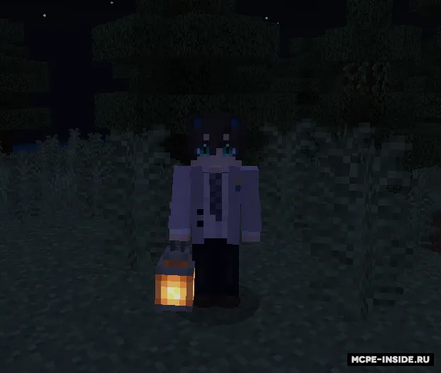 3D buyumlar — Minecraft tekstura, rasm 3