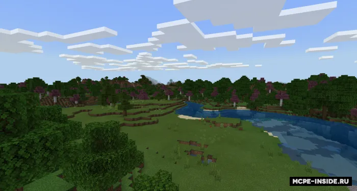 Biroy — Minecraft tekstura, rasm 3