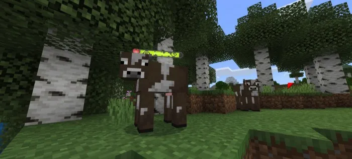 Sog'lik va zarar ko'rsatkichi — Minecraft tekstura, rasm 1
