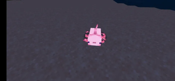 Porlab turuvchi aksolotllar — Minecraft tekstura, rasm 1