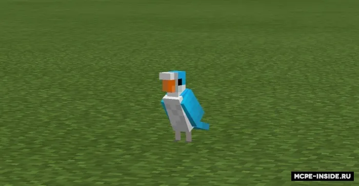 Yaxshilangan to'tiqushlar — Minecraft tekstura, rasm 1