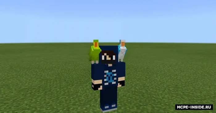 Yaxshilangan to'tiqushlar — Minecraft tekstura, rasm 3