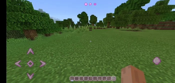 Ru interfeysi ranglari — Minecraft tekstura, rasm 4