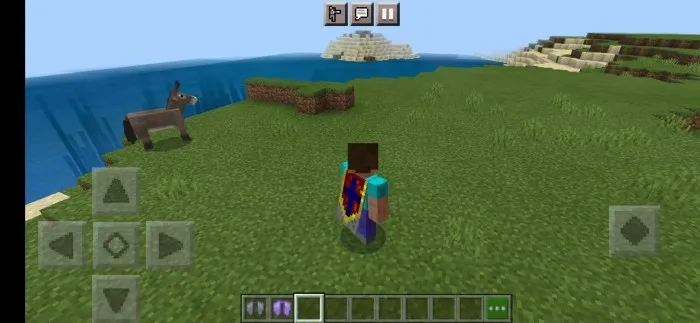 Yaxshilangan plash va elitralar — Minecraft tekstura, rasm 3