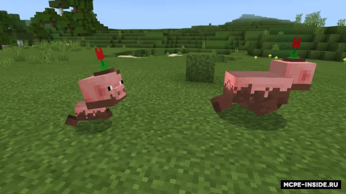 Yaxshilangan vanil Maynkraft — Minecraft tekstura, rasm 3