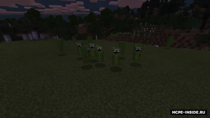 Pickle Rick — Minecraft tekstura, rasm 1
