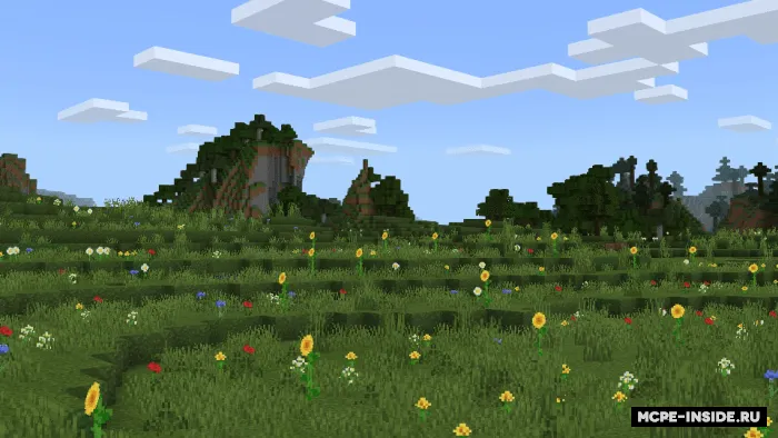 Oddiy tomonlar — Minecraft tekstura, rasm 2