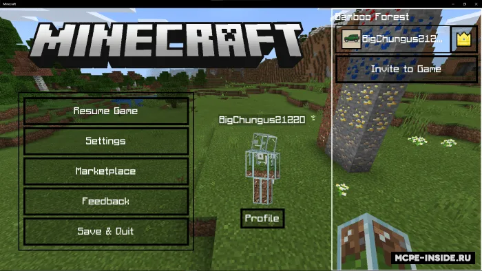 Qora oyna — Minecraft tekstura, rasm 4