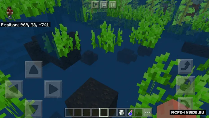 X-Ray — Minecraft tekstura, rasm 4