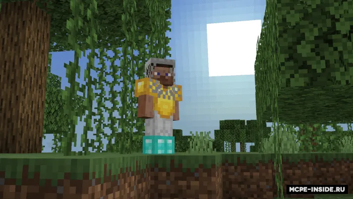 Vanil dubulg'alar modellari — Minecraft tekstura, rasm 2
