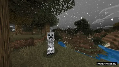 Qishki o'rmon