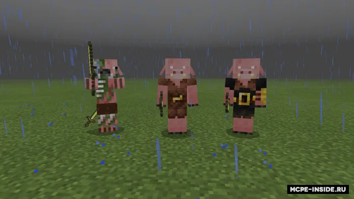 Dasturchi teksturalari — Minecraft tekstura, rasm 3