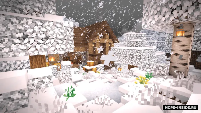 Qishki pak — Minecraft tekstura, rasm 1