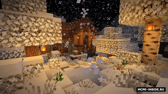 Qishki pak — Minecraft tekstura, rasm 2