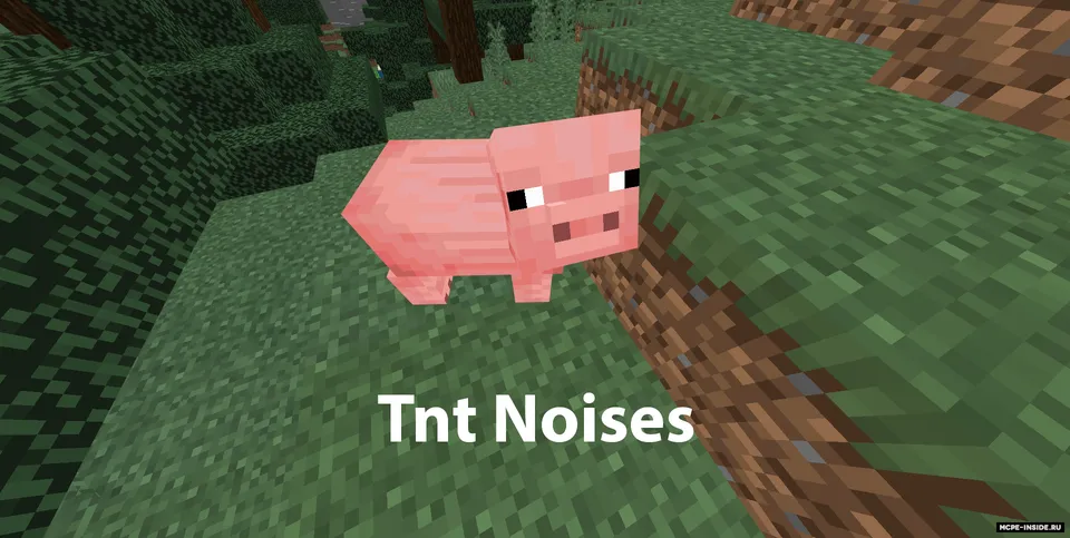 Tovushlar randomayzeri — Minecraft tekstura, rasm 1