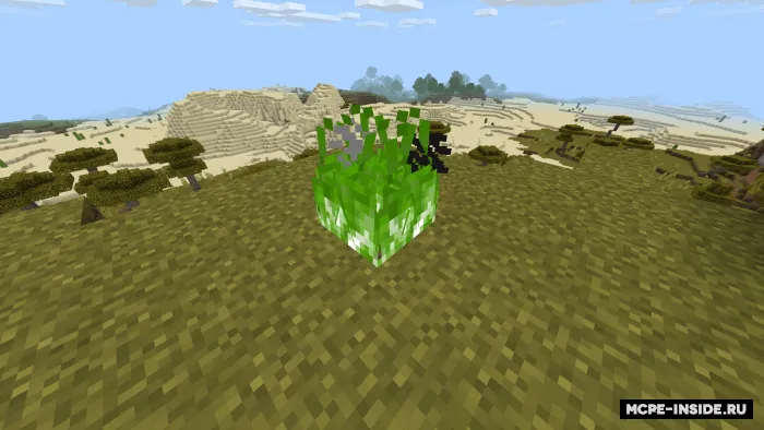 Rangli olov — Minecraft tekstura, rasm 4