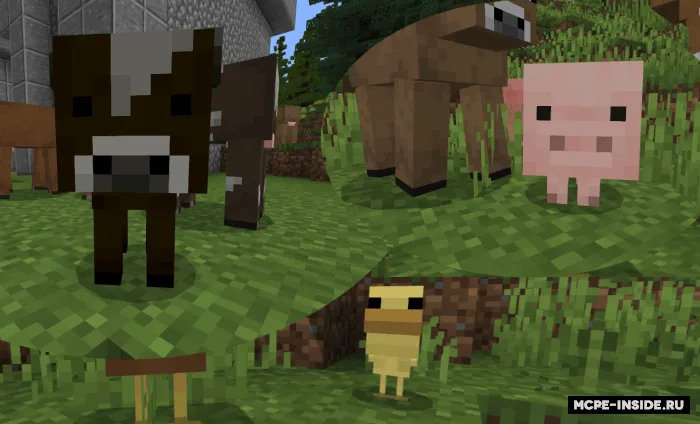 Vanilli moblar variantlari — Minecraft tekstura, rasm 4