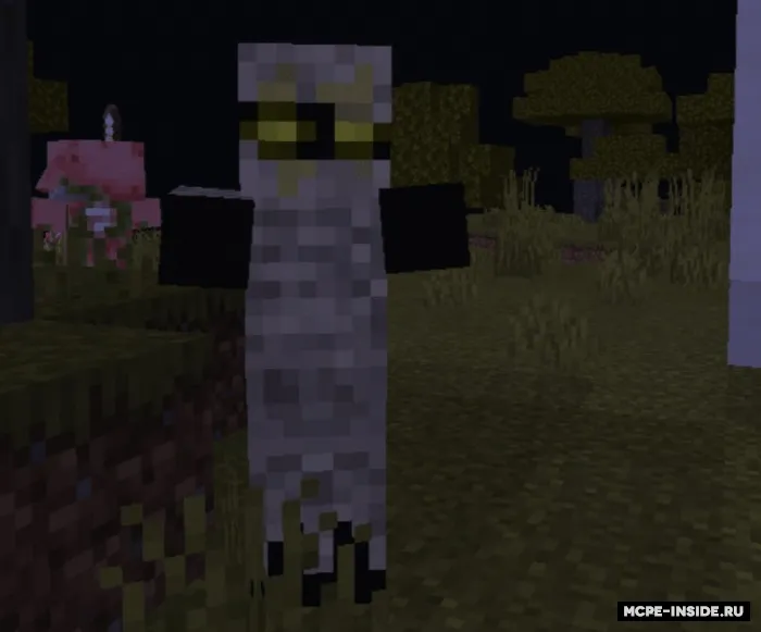 Mumiyalar! — Minecraft tekstura, rasm 2