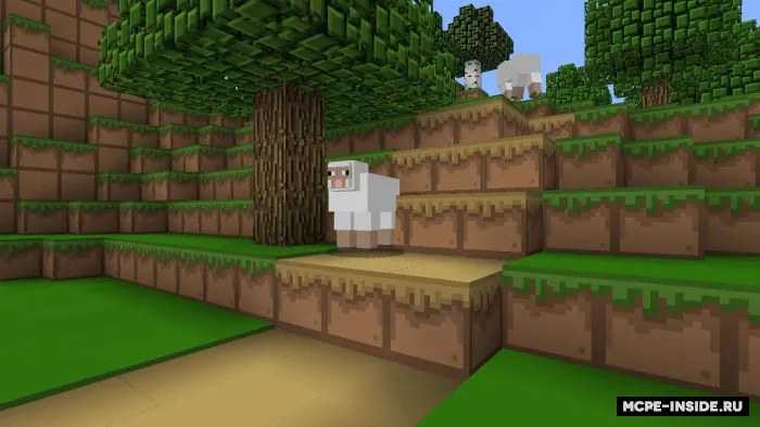 Oddiy Pak — Minecraft tekstura, rasm 1