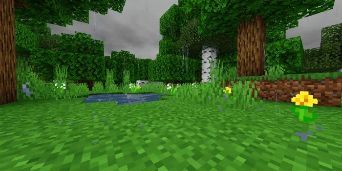 Mistik yomg'ir — Minecraft tekstura, rasm 1