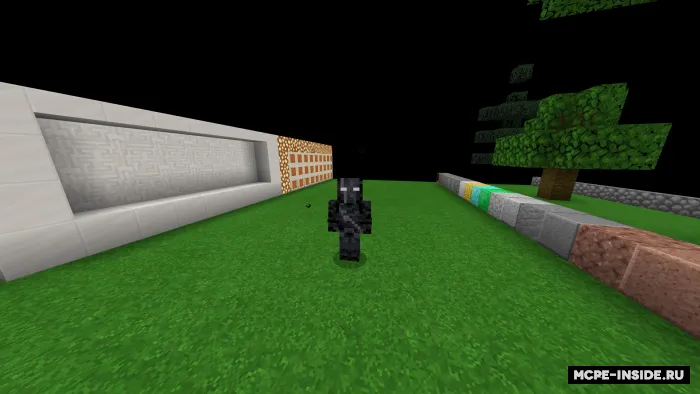 Anti-ko'rlik — Minecraft tekstura, rasm 1