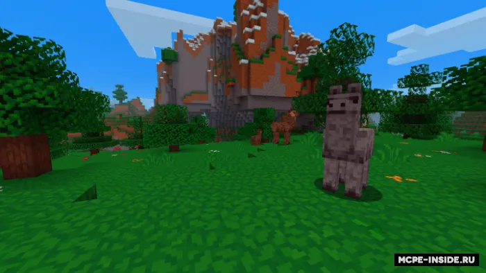 Woodpecker — Minecraft tekstura, rasm 3
