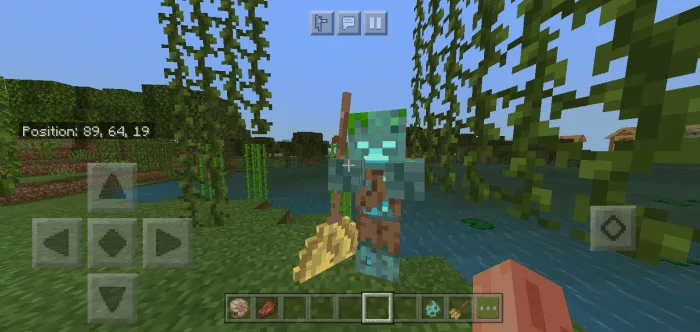 Uchqur-supurgi — Minecraft tekstura, rasm 2