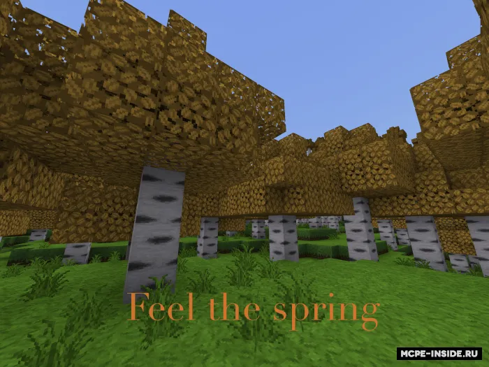 Zargarlik teksturpaki — Minecraft tekstura, rasm 4