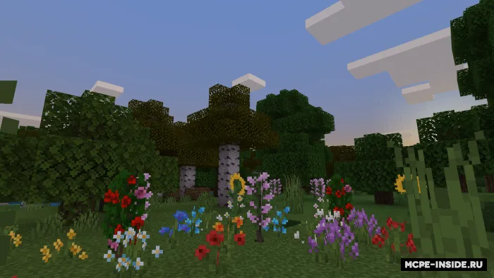Vins teksturpaki — Minecraft tekstura, rasm 3