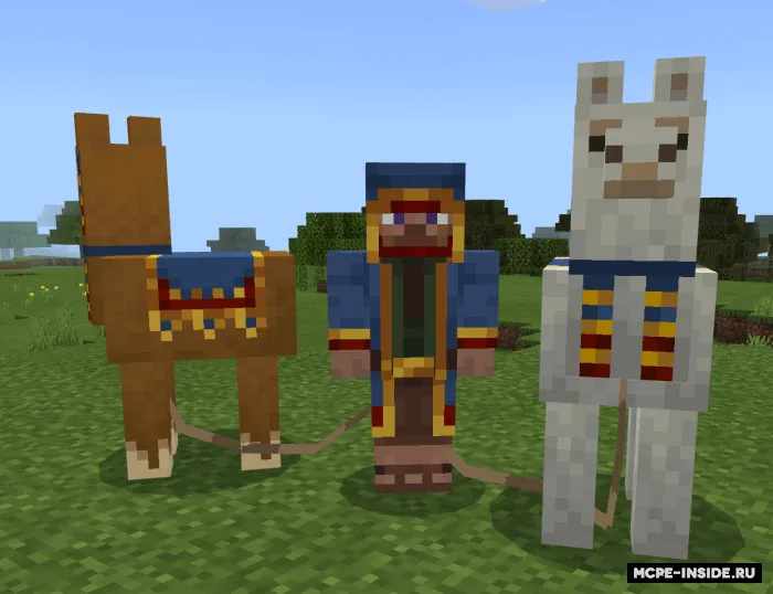 O'yinchi ko'rinishidagi aholi modellari — Minecraft tekstura, rasm 4