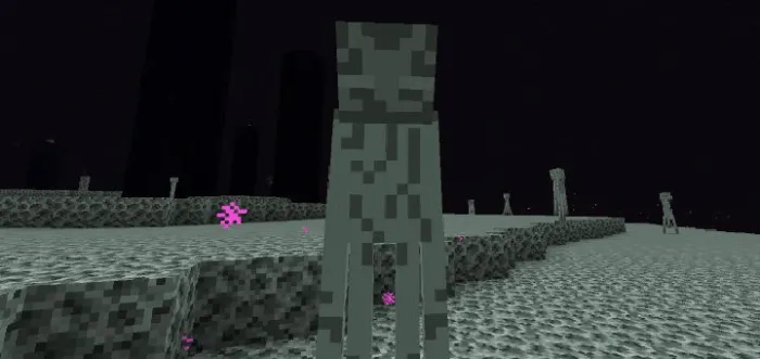 Rangsiz End — Minecraft tekstura, rasm 2